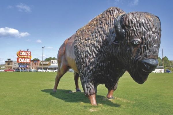 South Dakotans are accustomed to running into old acquaintances, celebrities, and even buffalo at Al s Oasis in Oacoma. Click to enlarge photos.